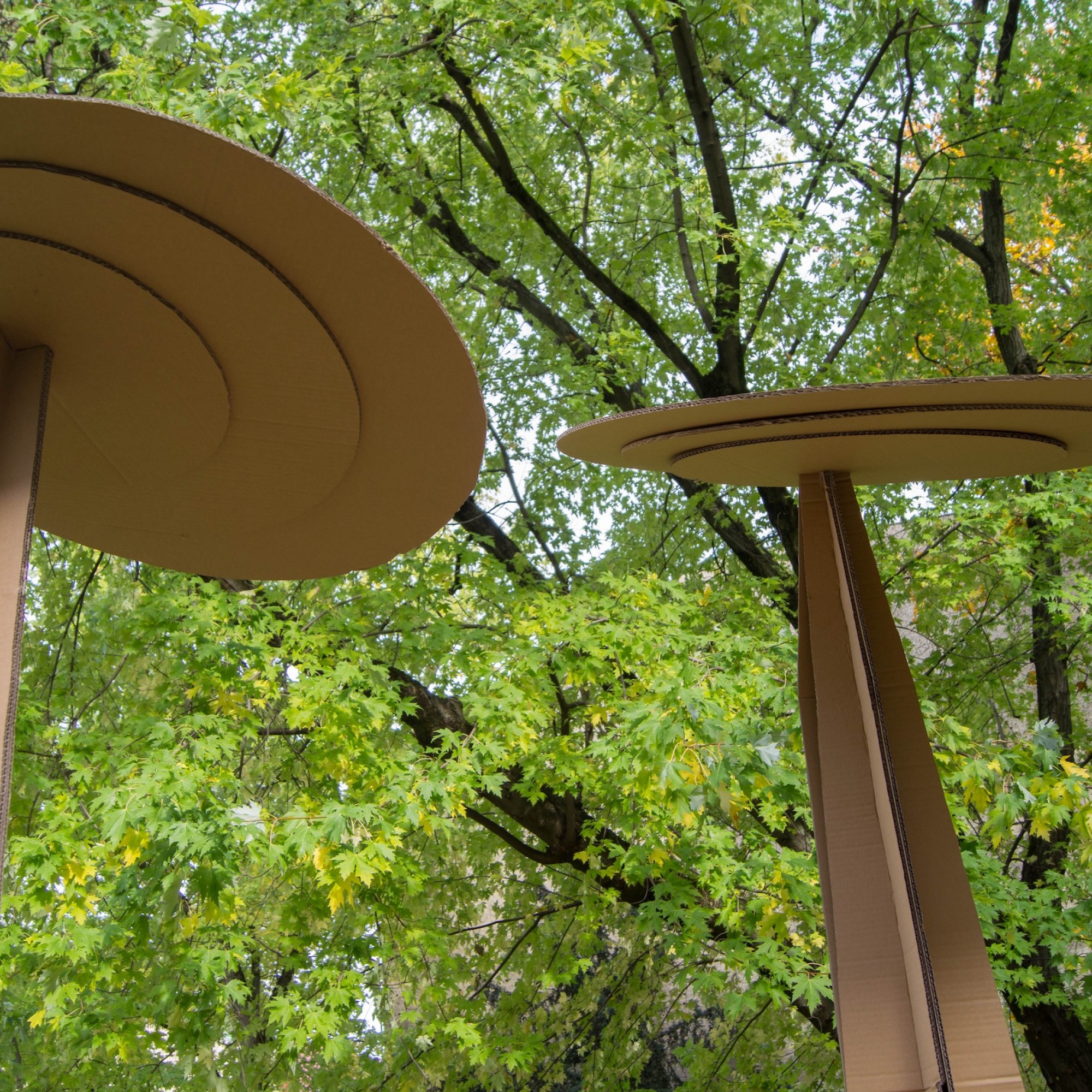  Mentoring — Programm 