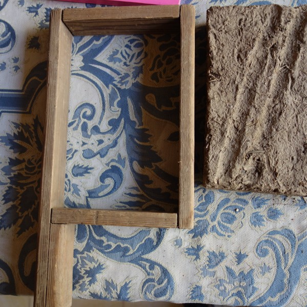 Thumbnail for Health Rehabilitation Center in Luxor