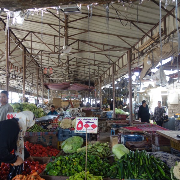 Thumbnail for Rehabilitationszentrum in Luxor